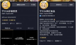 抖音食品爆料怎么做视频,如何制作引人入胜的短视频