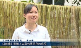 许愿活动爆料怎么做视频,打造创意视频攻略