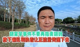 胡某宇天涯爆料最新新闻,最新揭秘事件背后惊人真相
