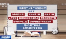 山东大瓜爆料视频最新消息,揭秘惊人内幕，真相令人震惊！