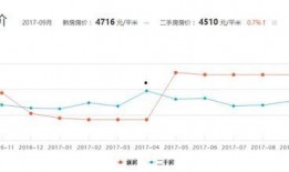 大同团队爆料最新消息,最新动态揭秘，不容错过的重大信息