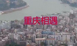 重庆爆料南川新闻视频最新,重庆最新爆料，聚焦热点事件