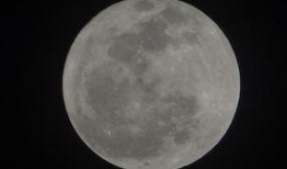 月球爆料西瓜视频,揭秘西瓜视频背后的秘密与精彩瞬间