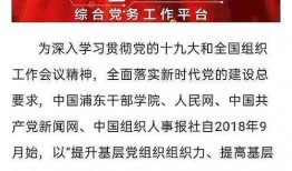 浦东干部爆料新闻网络,真相与舆论的碰撞