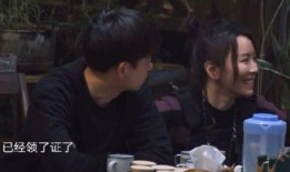 黄磊爆料节目视频大全下载,揭秘幕后故事与精彩瞬间