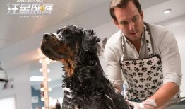 胖犬来爆料完整视频,完整视频揭秘幕后真相