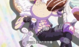 海贼王卡片爆料视频下载