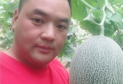 网红水果哥直播吃瓜,瓜界新宠引网友热议