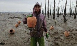 西藏网红吃瓜事件视频,揭秘网络舆论背后的真相