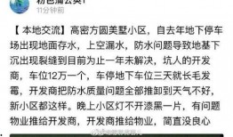 方圆最新爆料,揭秘娱乐圈惊天秘密