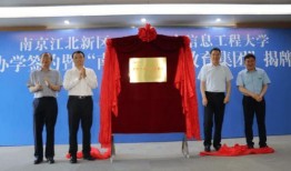 爆料威海供电公司新闻最新消息,揭秘电力保障与改革进展