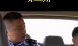 人类迷惑行为爆料视频,视频爆料背后的惊人真相