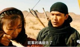 骆驼客在线观看,骆驼客在线观看之旅