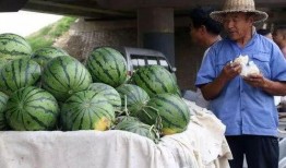 晋城网红吃瓜事件,揭秘网络舆论的风暴与真相