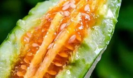 诸暨网红吃瓜事件真相视频,真相视频曝光背后的惊人内幕