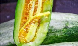 临沂吃瓜网红是谁啊,揭秘临沂地区热门吃瓜达人