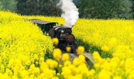 藿藿最新爆料,揭秘娱乐圈最新热点事件