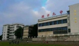 武汉第九中学爆料视频最新,揭秘校园内幕引发热议