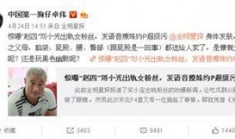 卓伟爆料蜜蜂是真的吗视频,蜜蜂真实现身，视频揭秘真相