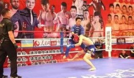 散打八卦爆料怎么做的视频,视频制作全攻略