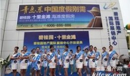 碧桂园最新爆料新闻,揭秘项目进展与市场动态