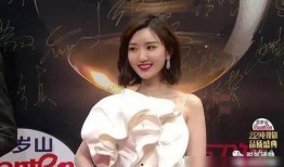 谁爆料何静是间谍啊视频,何静间谍身份曝光，内幕视频引发热议