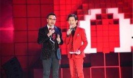 汪涵爆料歌手视频,歌手幕后故事，独家视频大曝光！