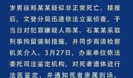 新华网新闻爆料,揭秘重大新闻事件背后真相
