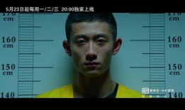 电影 余罪在线观看,卧底风云，正义与罪恶的较量
