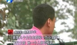 河南女孩爆料视频大全集,揭秘背后真相与感人瞬间