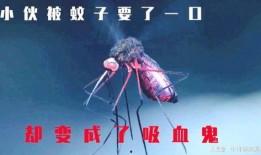 僵尸蚊子在线观看,吸血鬼之夜的恐怖降临