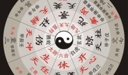 奇门遁甲爆料视频下载大全,爆料视频下载大全汇总