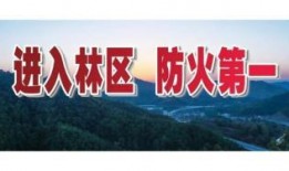 淄博火灾新闻头条爆料,重大火灾事故引发社会关注，损失情况令人痛心
