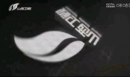 中央新闻13频道爆料视频,揭秘重大事件内幕