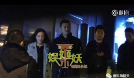 卓伟爆料蜜蜂是真的吗视频,蜜蜂真实现身，视频揭秘真相