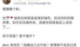 黄毅清爆料张钱豪视频,真相与争议交织