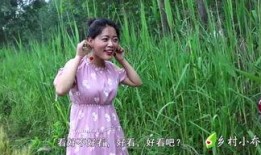 乡村小乔前弟媳爆料视频,揭秘背后惊人真相