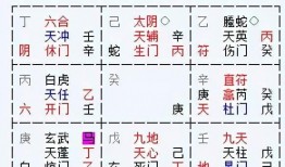 奇门遁甲爆料视频下载大全,爆料视频下载大全汇总