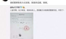 王力宏老爸爆料了吗视频,揭秘明星家庭背后的故事