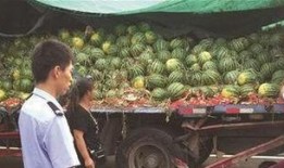 西藏网红吃瓜事件视频,揭秘网络舆论背后的真相