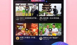飞哥爆料视频完整版下载,揭秘幕后真相与精彩瞬间