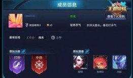 王者荣辉爆料视频大全,揭秘游戏幕后精彩瞬间