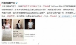 柳州爆料丈夫隐私案件最新,揭秘家庭纷争背后的法律较量