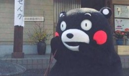 呼叫二狗爆料视频大全最新,揭秘娱乐圈幕后真相