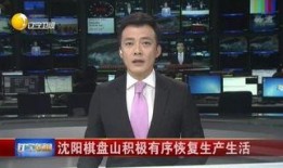 沈阳新闻在线观看,实时播报，尽览沈阳动态