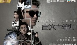 盲侠大律师在线观看,正义之光，在线见证