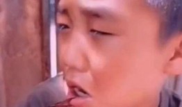 人类迷惑行为爆料视频,视频爆料背后的惊人真相