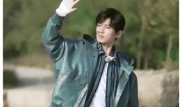 直播成毅爆料最新消息视频,最新动态与幕后故事大公开