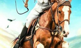 宋佳伦爆料萨日娜视频,揭秘娱乐圈背后故事