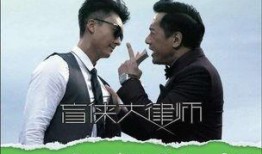 盲侠大律师在线观看,正义之光，在线见证